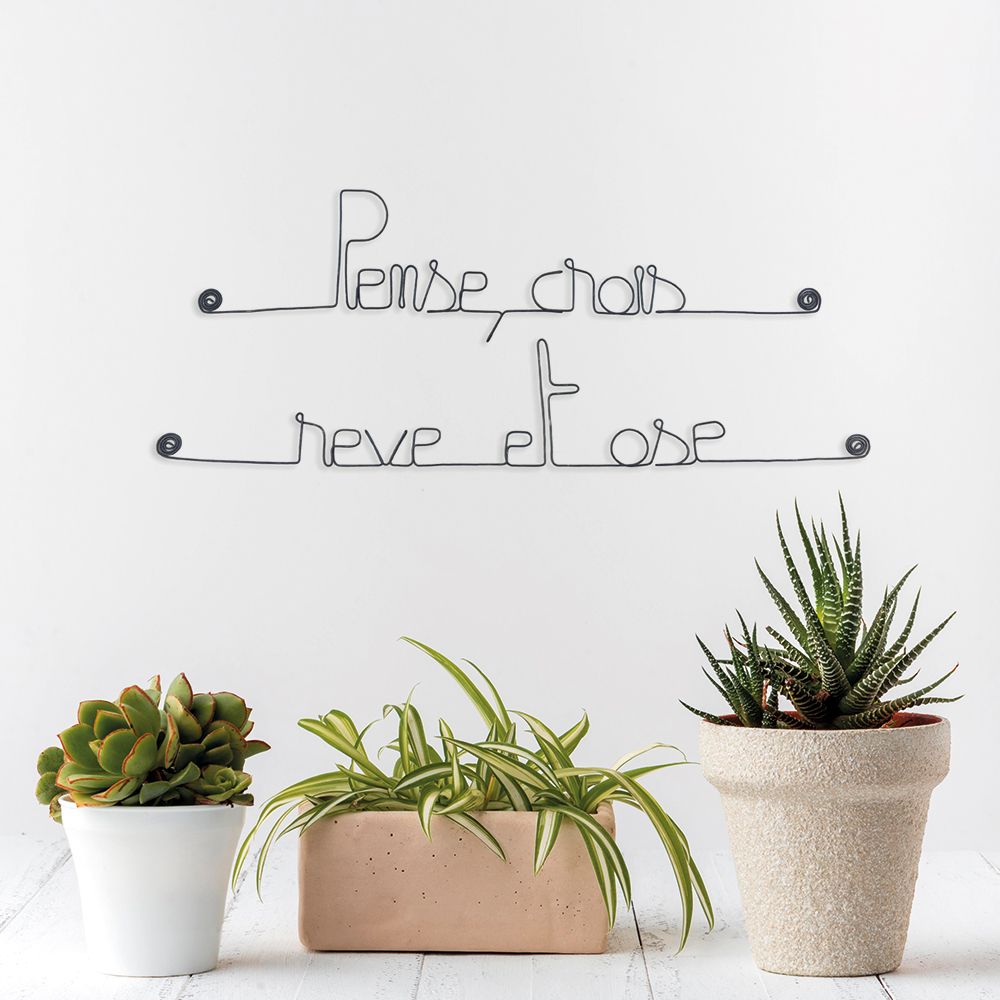 Citation en fil de fer