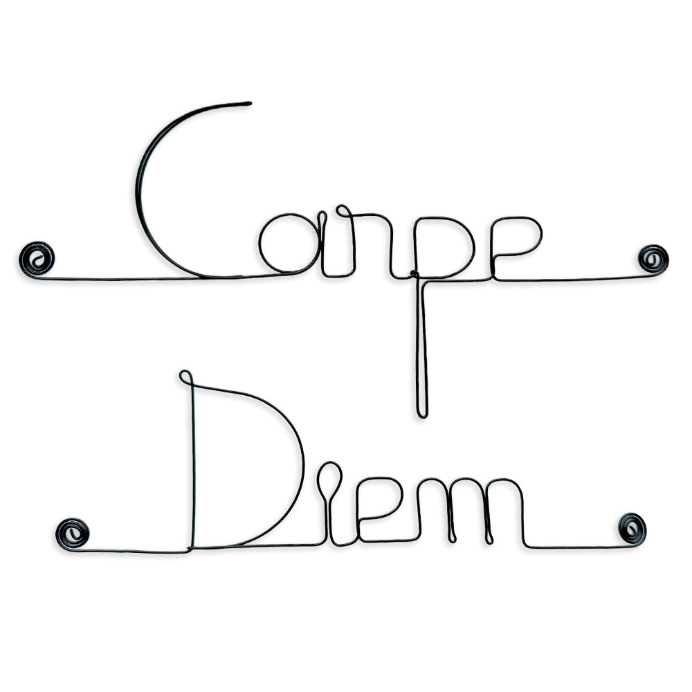 Simple wire message "Carpe diem" - to pin up - Wall jewelry
