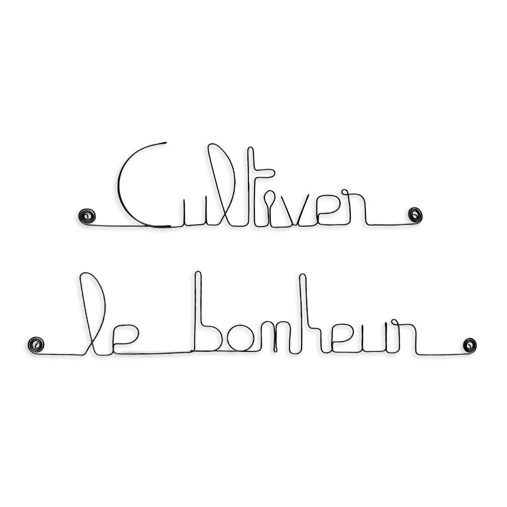 Simple wire message "Cultivate happiness" - pin-up - Wall jewelry