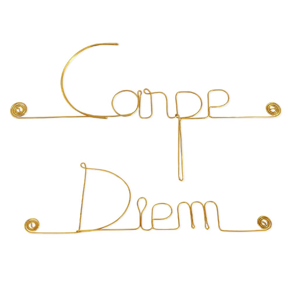Simple wire message "Carpe diem" - to pin up - Wall jewelry