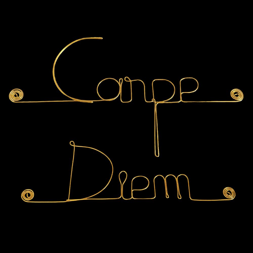 Simple wire message "Carpe diem" - to pin up - Wall jewelry
