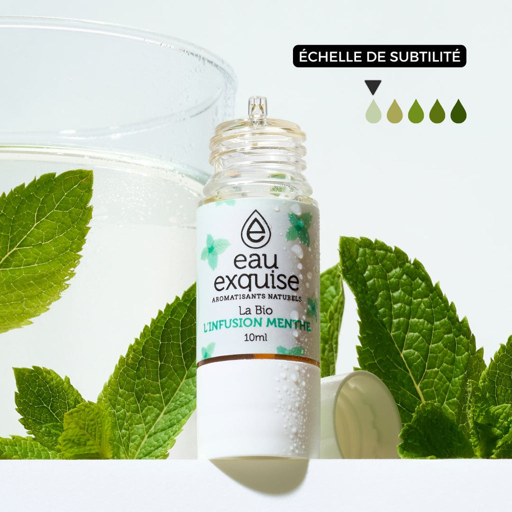 Peppermint Infusion - Organic