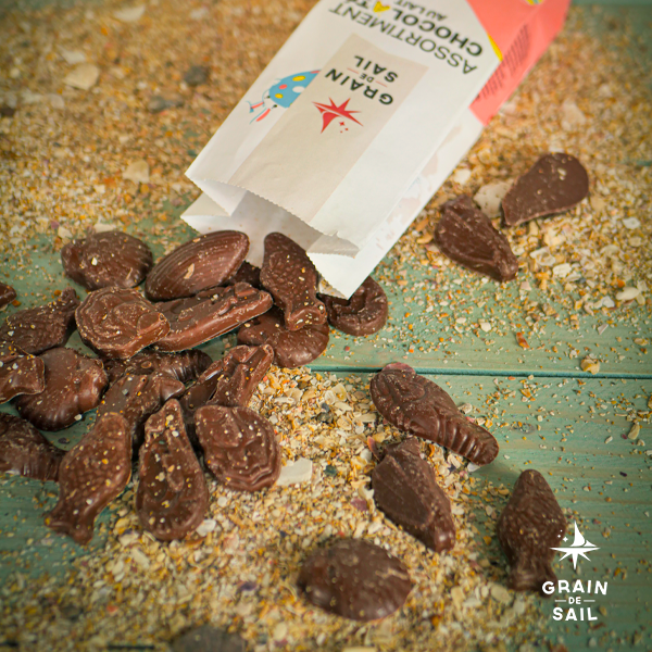 Assorted Milk Chocolate Pouch - 150g - Organic