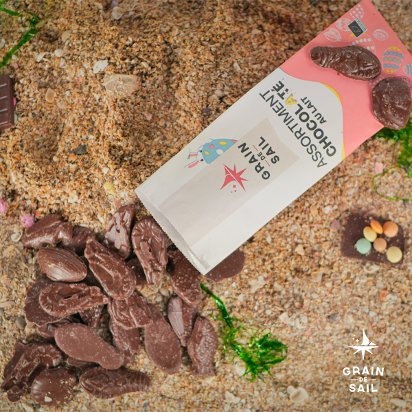 Assorted Milk Chocolate Pouch - 150g - Organic