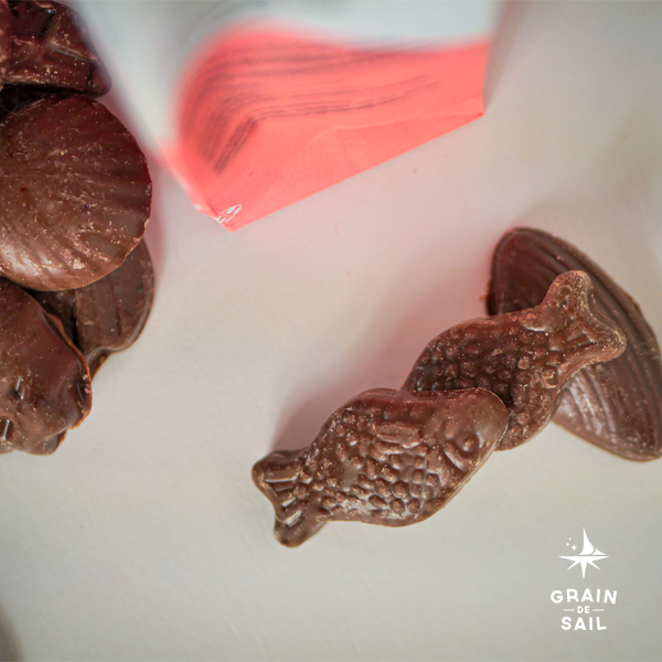 Assorted Milk Chocolate Pouch - 150g - Organic