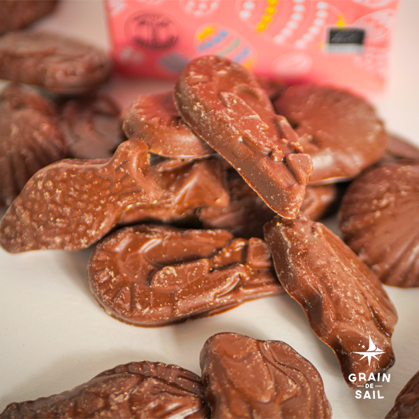 Assorted Milk Chocolate Pouch - 150g - Organic