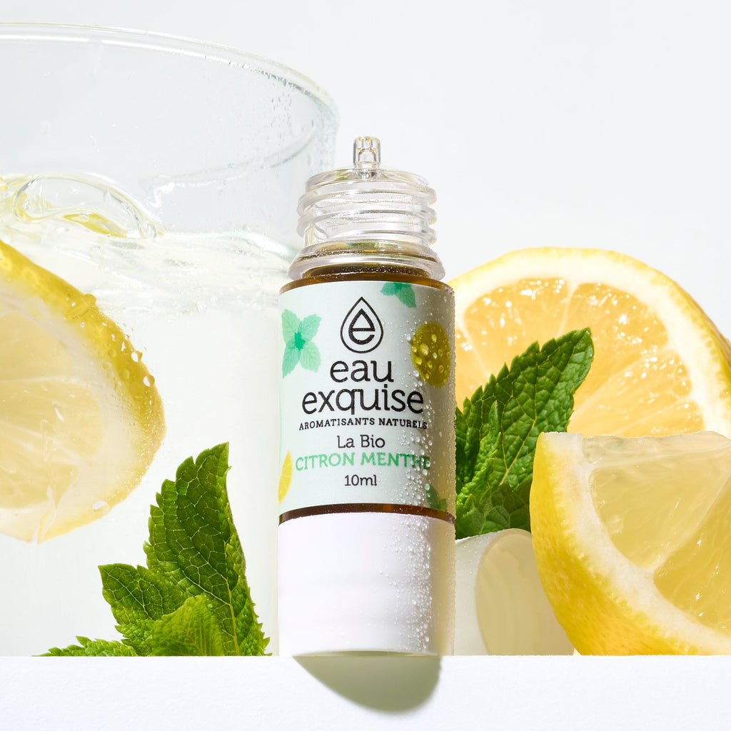Lemon Mint - Organic