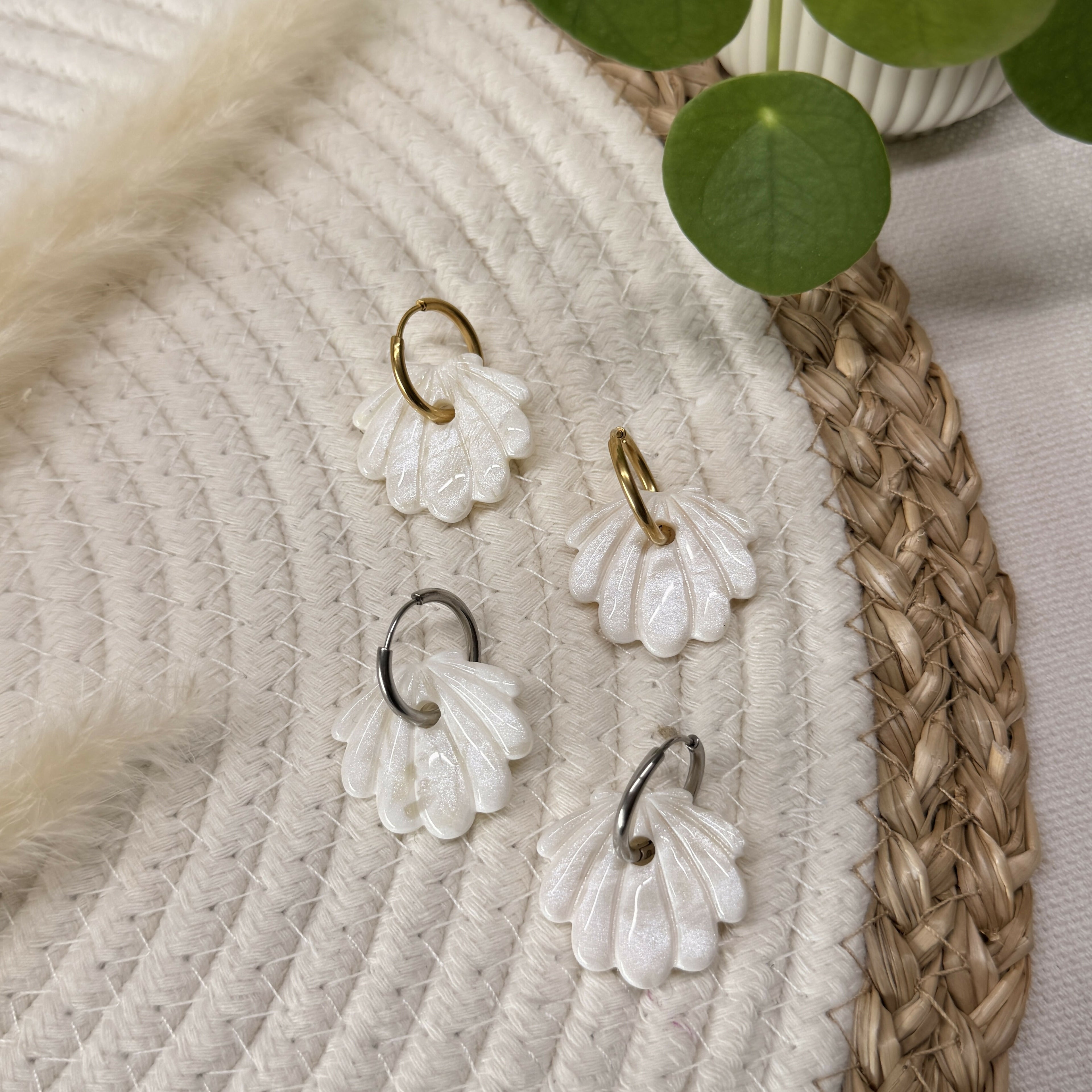 Coquillage sans Créole