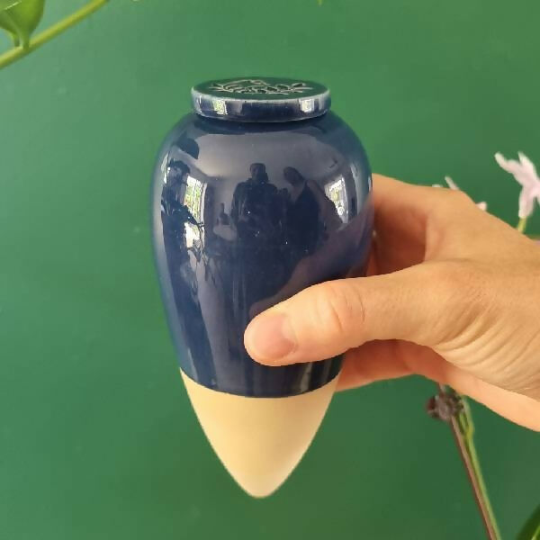 Olla Catnopée Bleu Profond - 30 cl