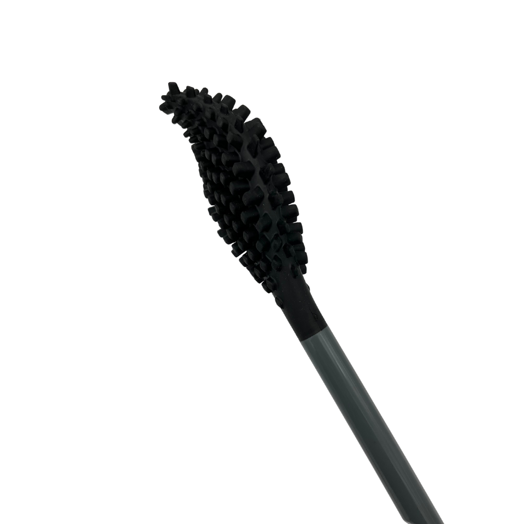 bbb La Brosse sans socle