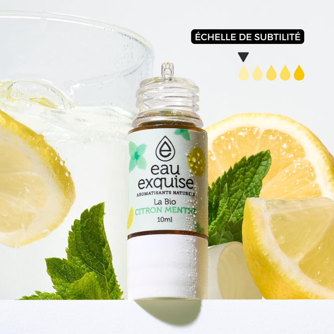 Lemon Mint - Organic