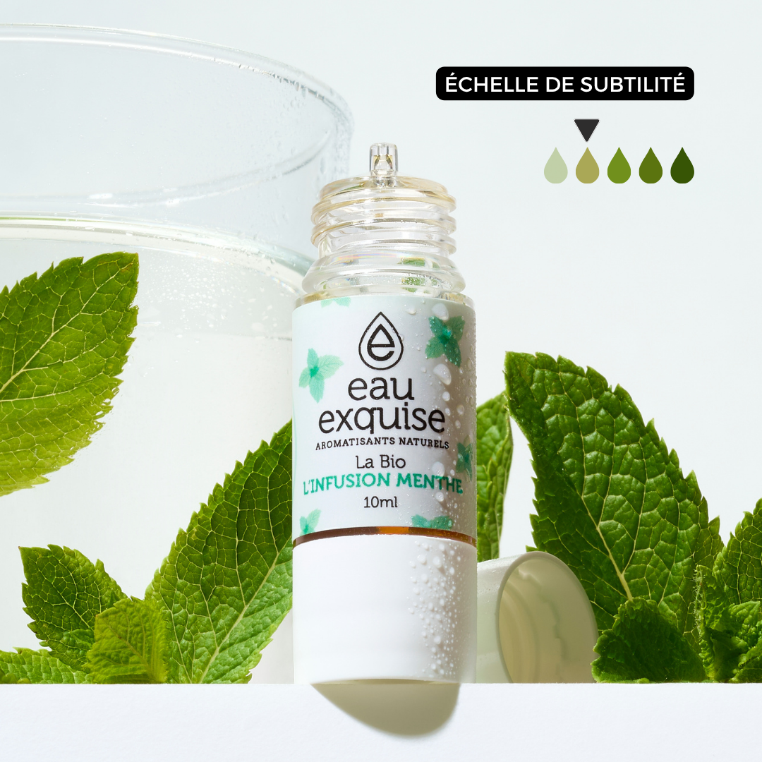Peppermint Infusion - Organic