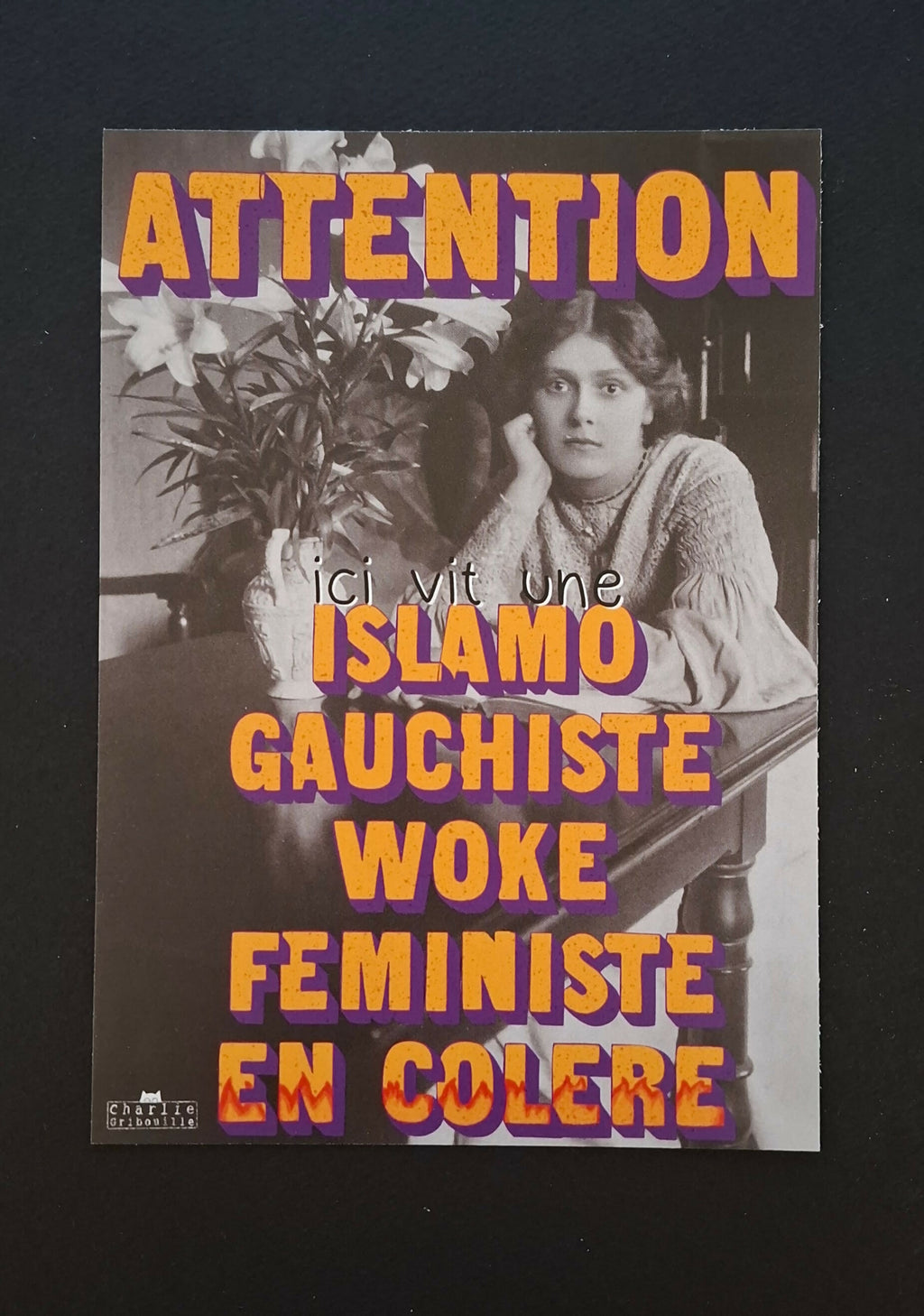 Postcard Warning: An Islamo-leftist lives here