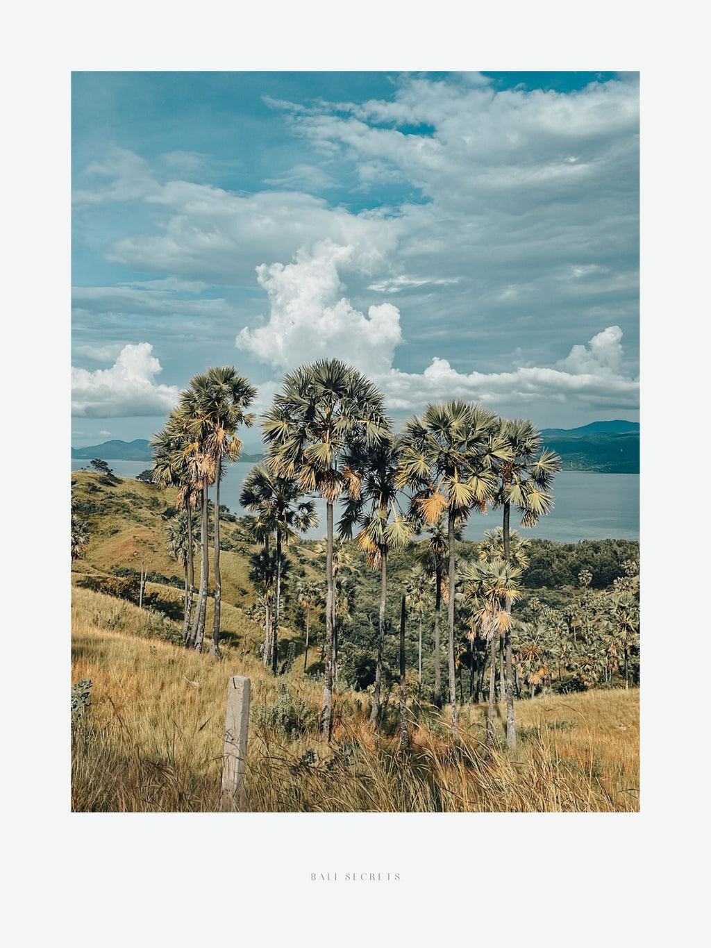 POSTER ~ BALI SECRETS