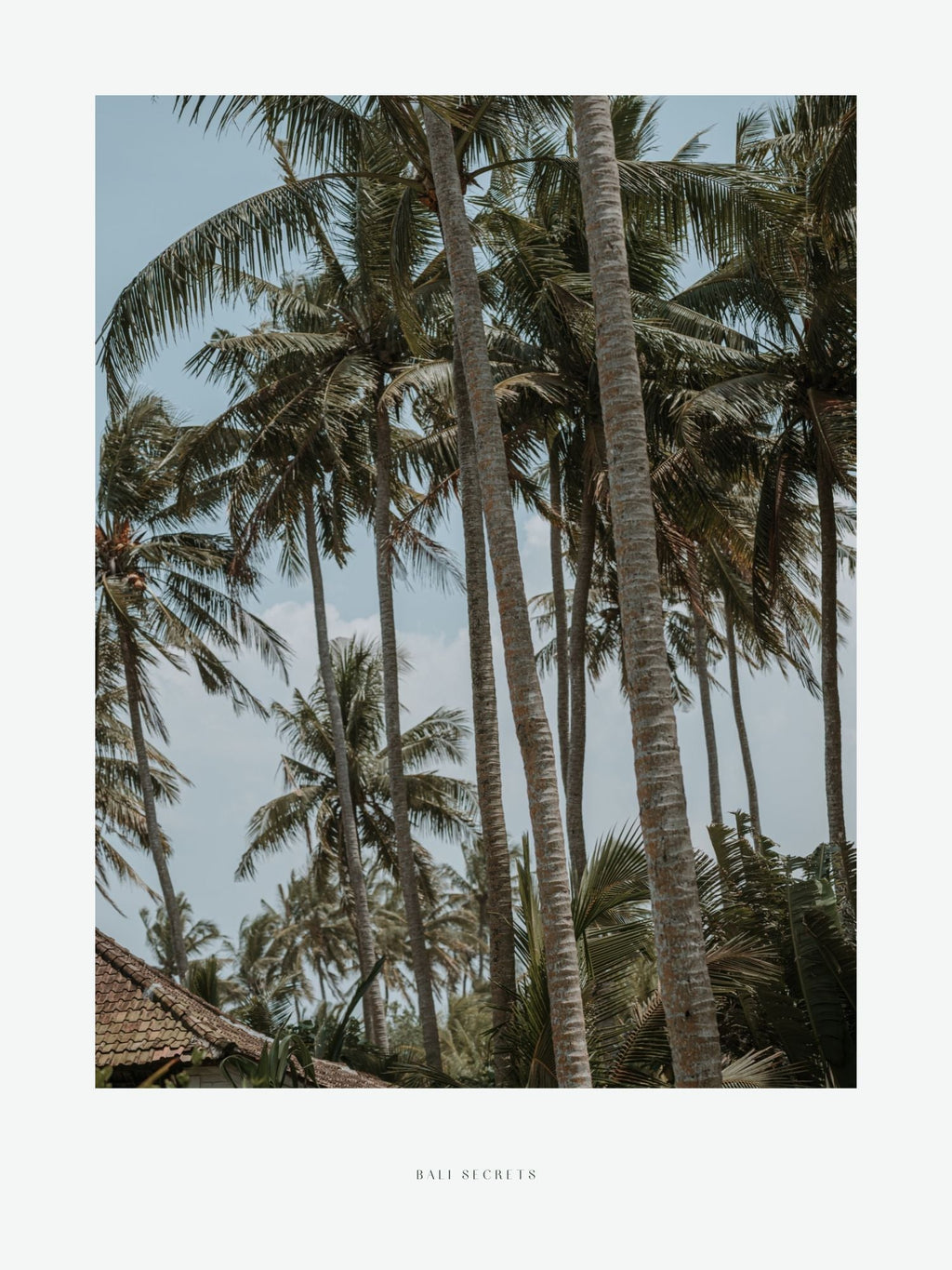 POSTER ~ BALI SECRETS