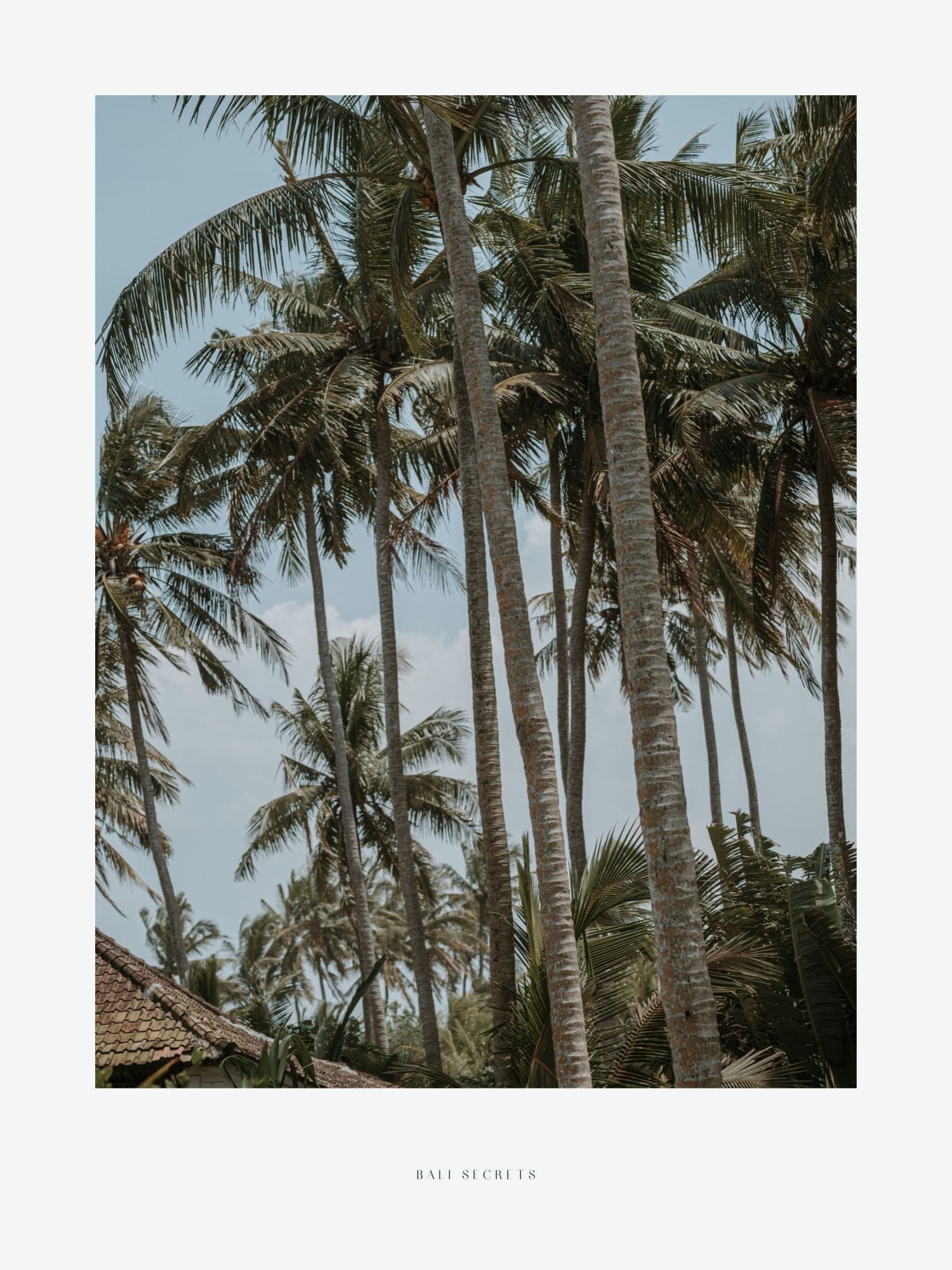 POSTER ~ BALI SECRETS