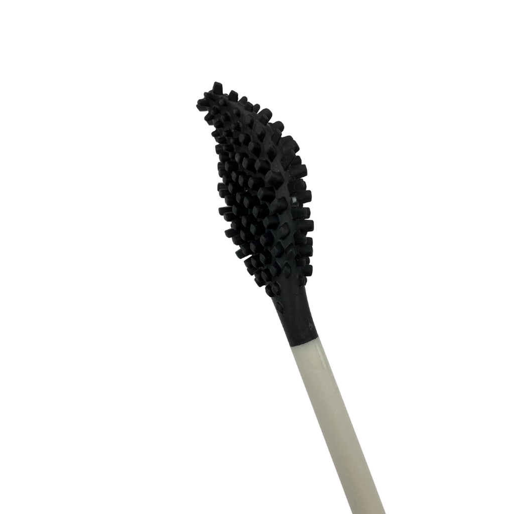bbb La Brosse sans socle