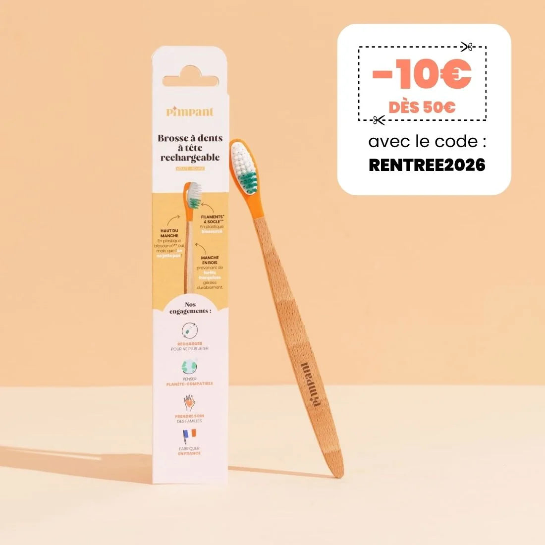 Toothbrush with replaceable head (soft bristles)