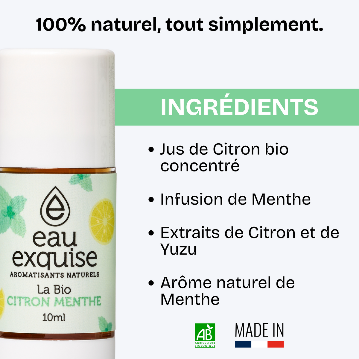 Lemon Mint - Organic