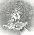Cheval feuillu