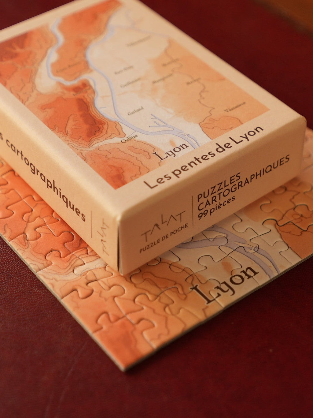 Les pentes de Lyon – Puzzle 99 pièces