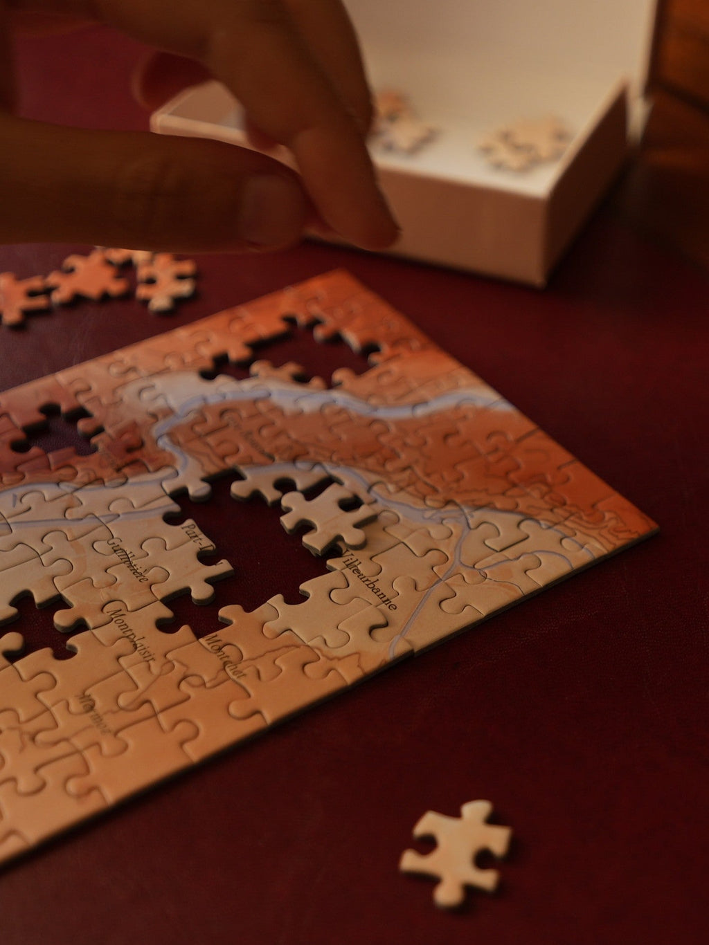 Les pentes de Lyon – Puzzle 99 pièces