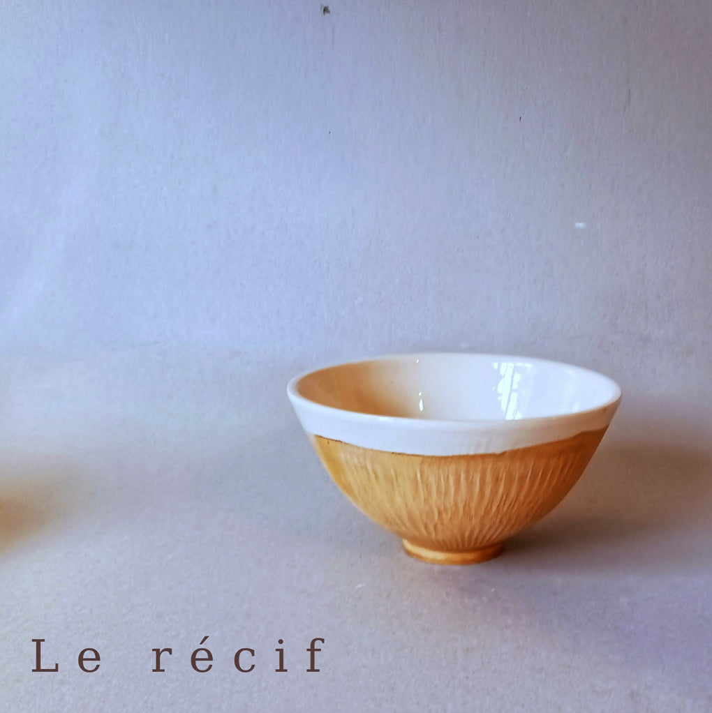 Bol Le récif