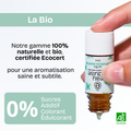 gingembre épicé
