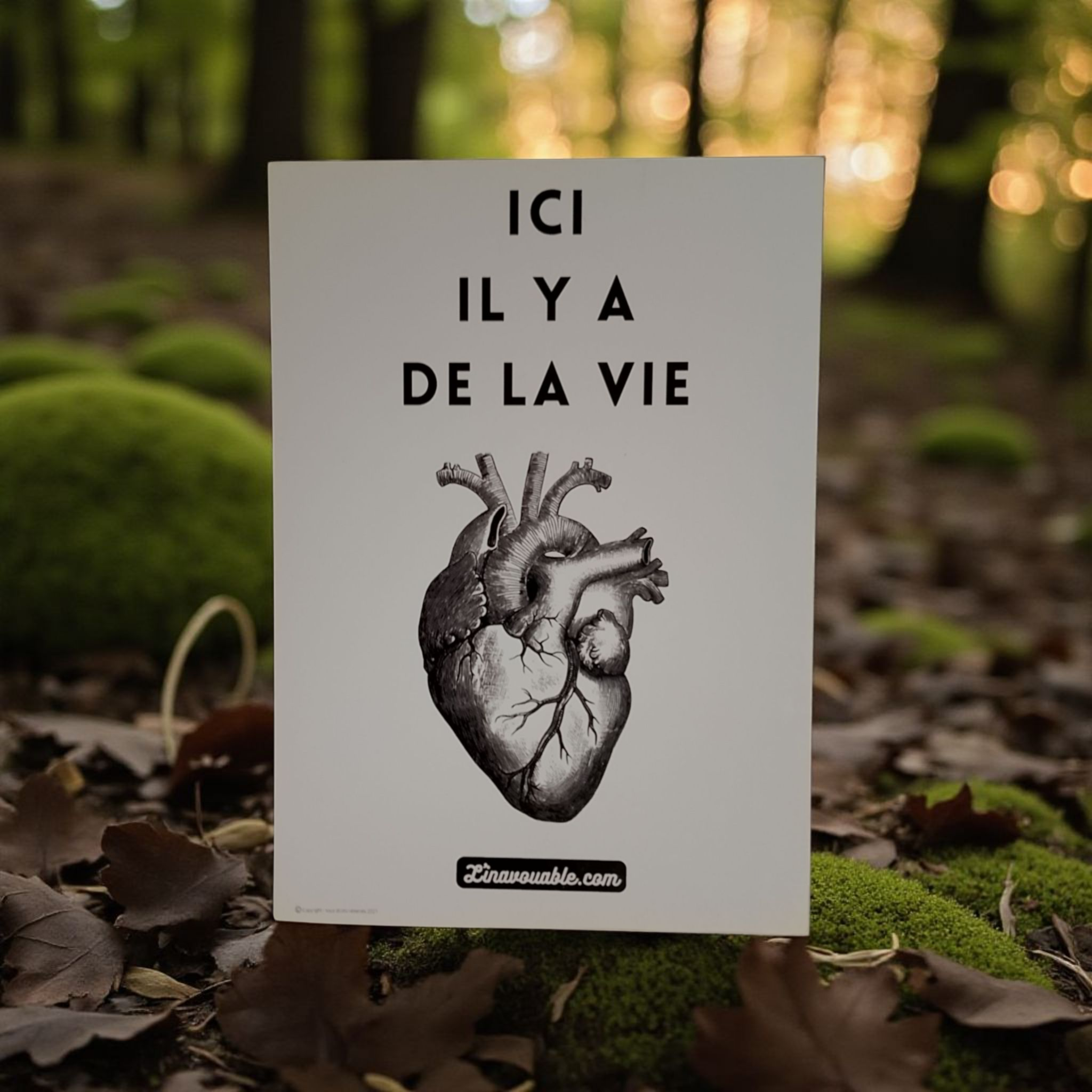POSTCARD "LIFE IS HERE"