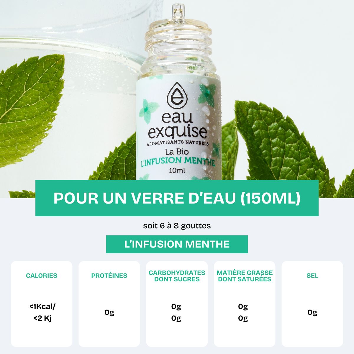 Peppermint Infusion - Organic