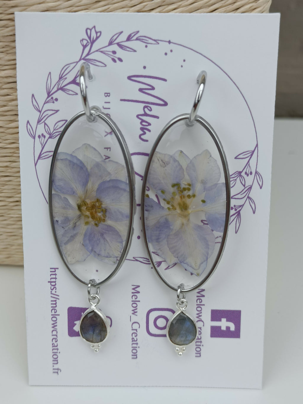 MEL/GFS Grandes Fleurs Séchées