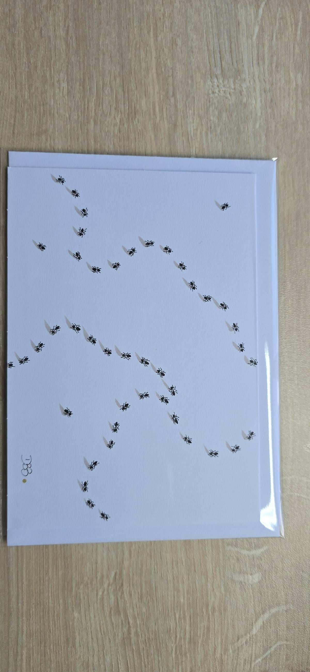 Carte Blanche fourmis