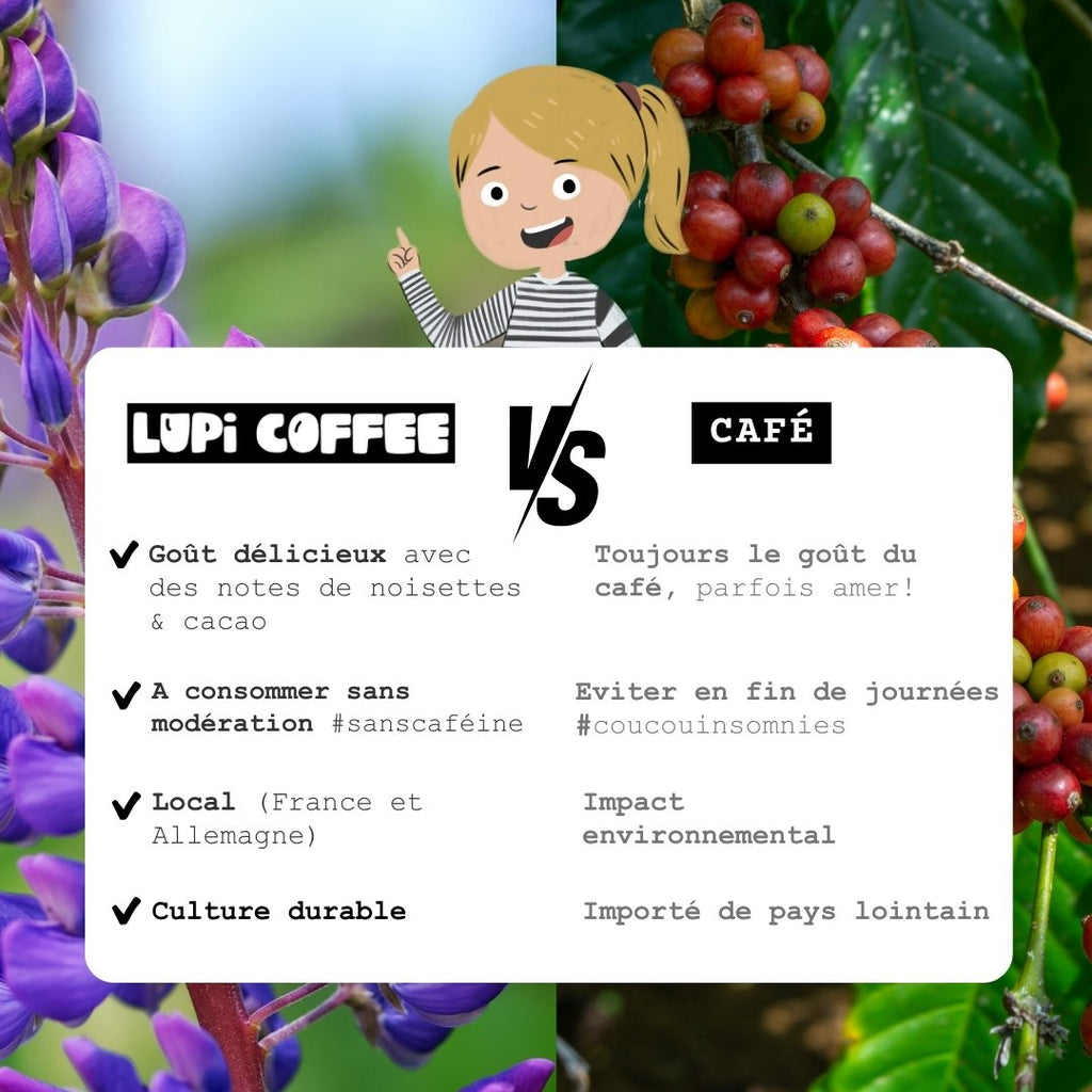 Comparaison café de lupin et café classique