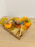 Citrouilles