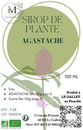 SIROP D'AGASTACHE