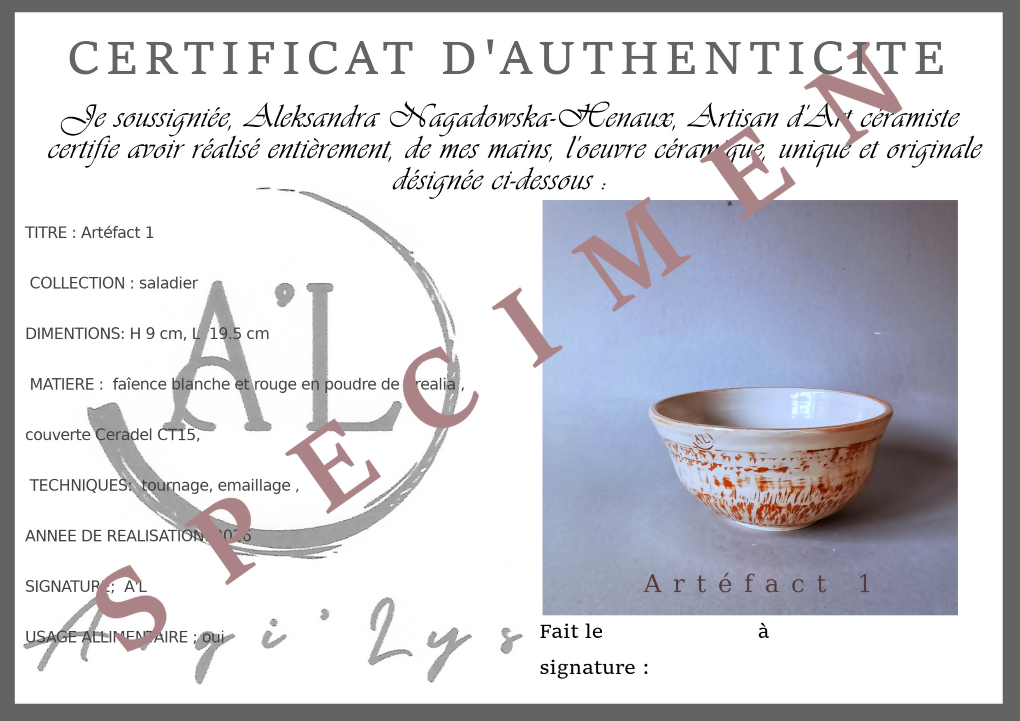 Saladier Artefact 1