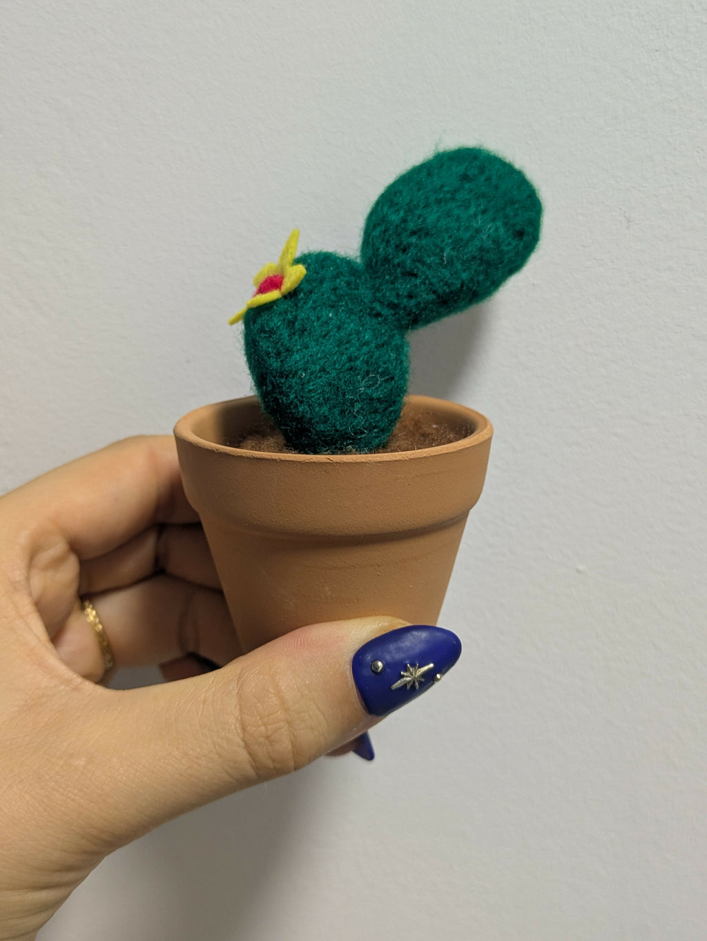 Pot Cactus