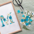 cadeau-herbier-bleu