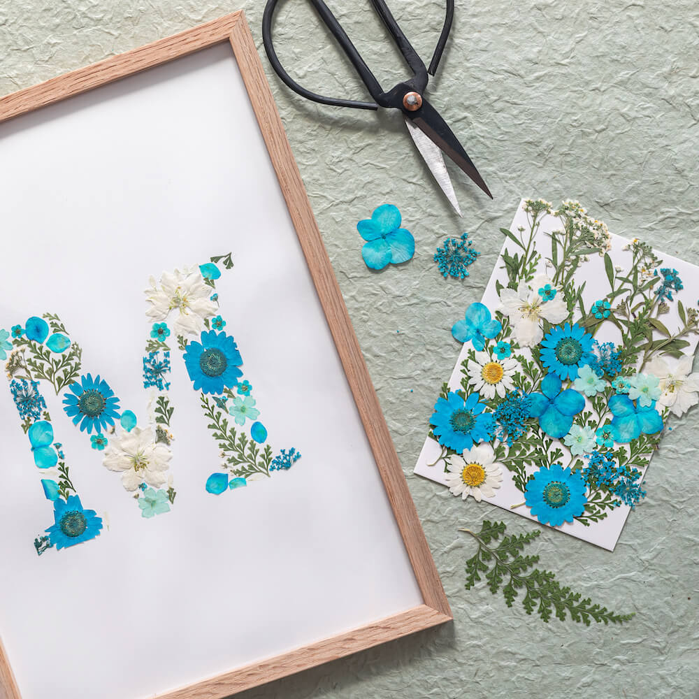cadeau-herbier-bleu