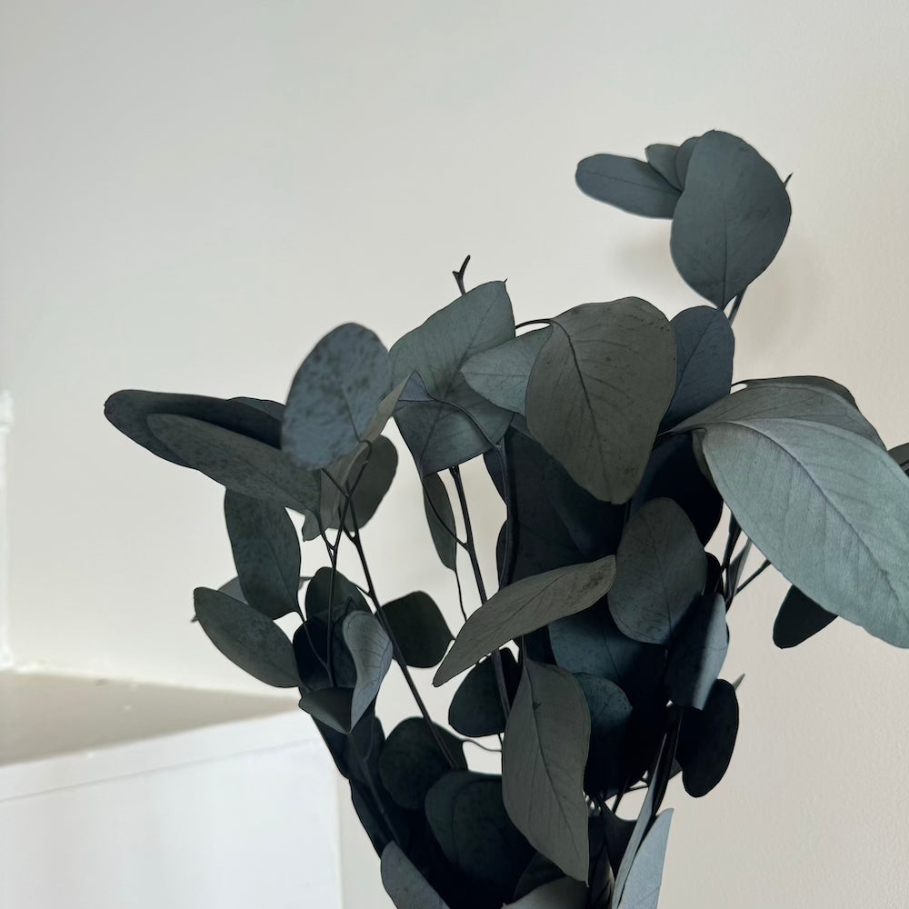 Eucalyptus Populus Green Boot