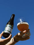 Bellenaert IPA