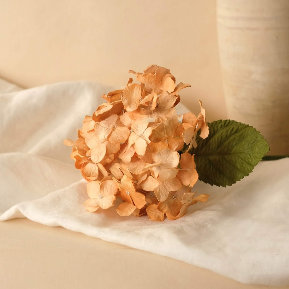 Light orange paper hydrangea