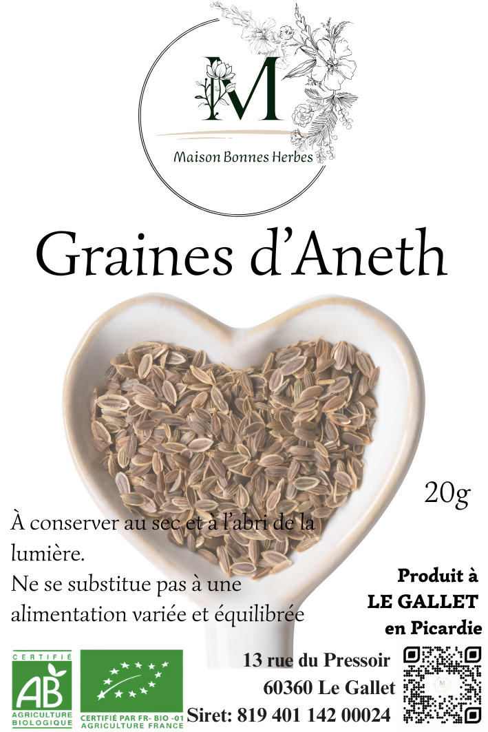 GRAINES D'ANETH