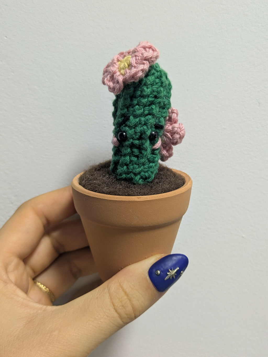 Pot Cactus