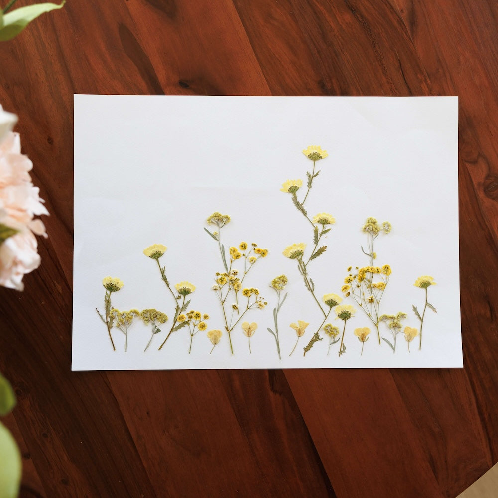 herbier-flowrette