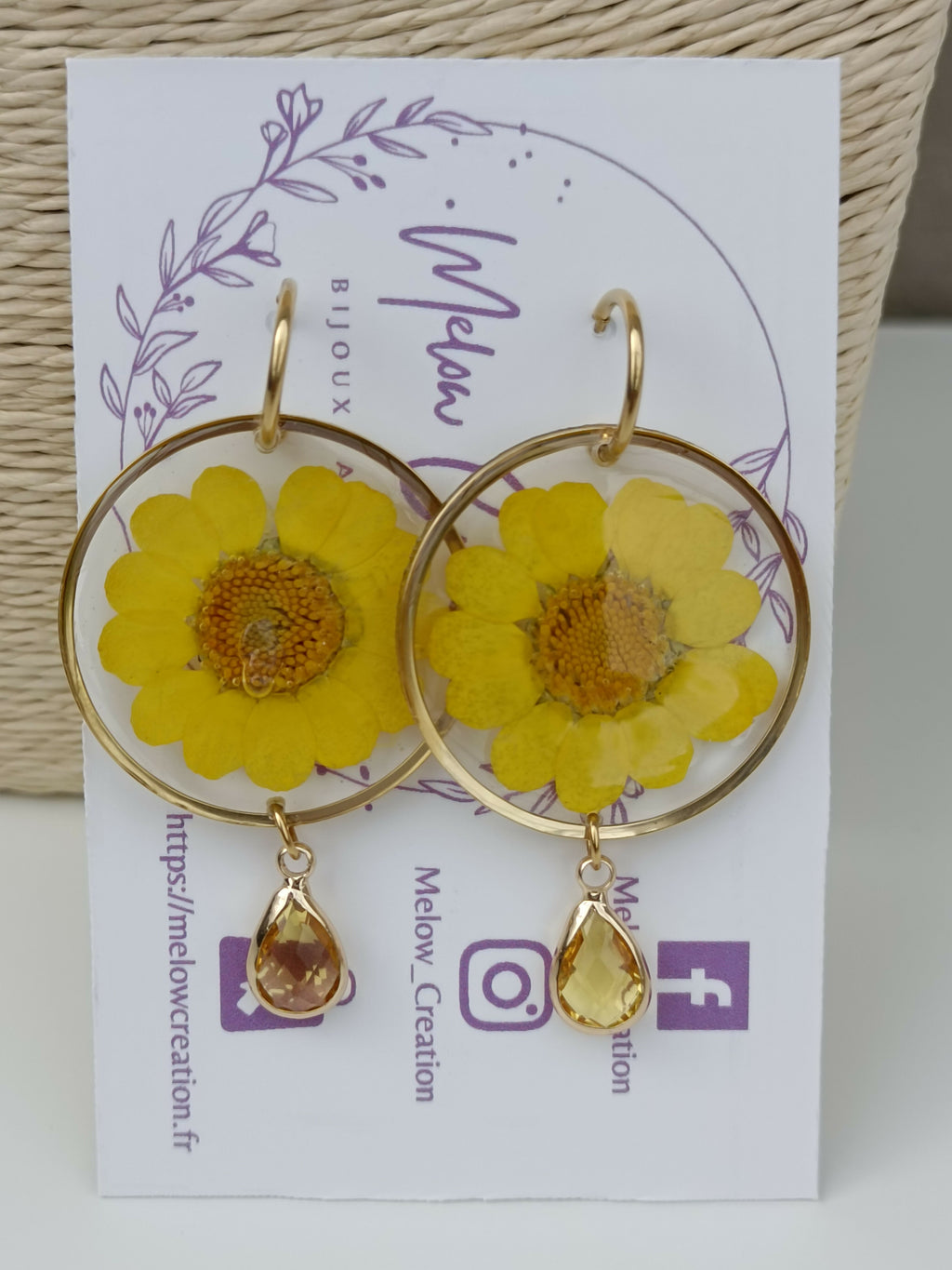 MEL/GFS Grandes Fleurs Séchées