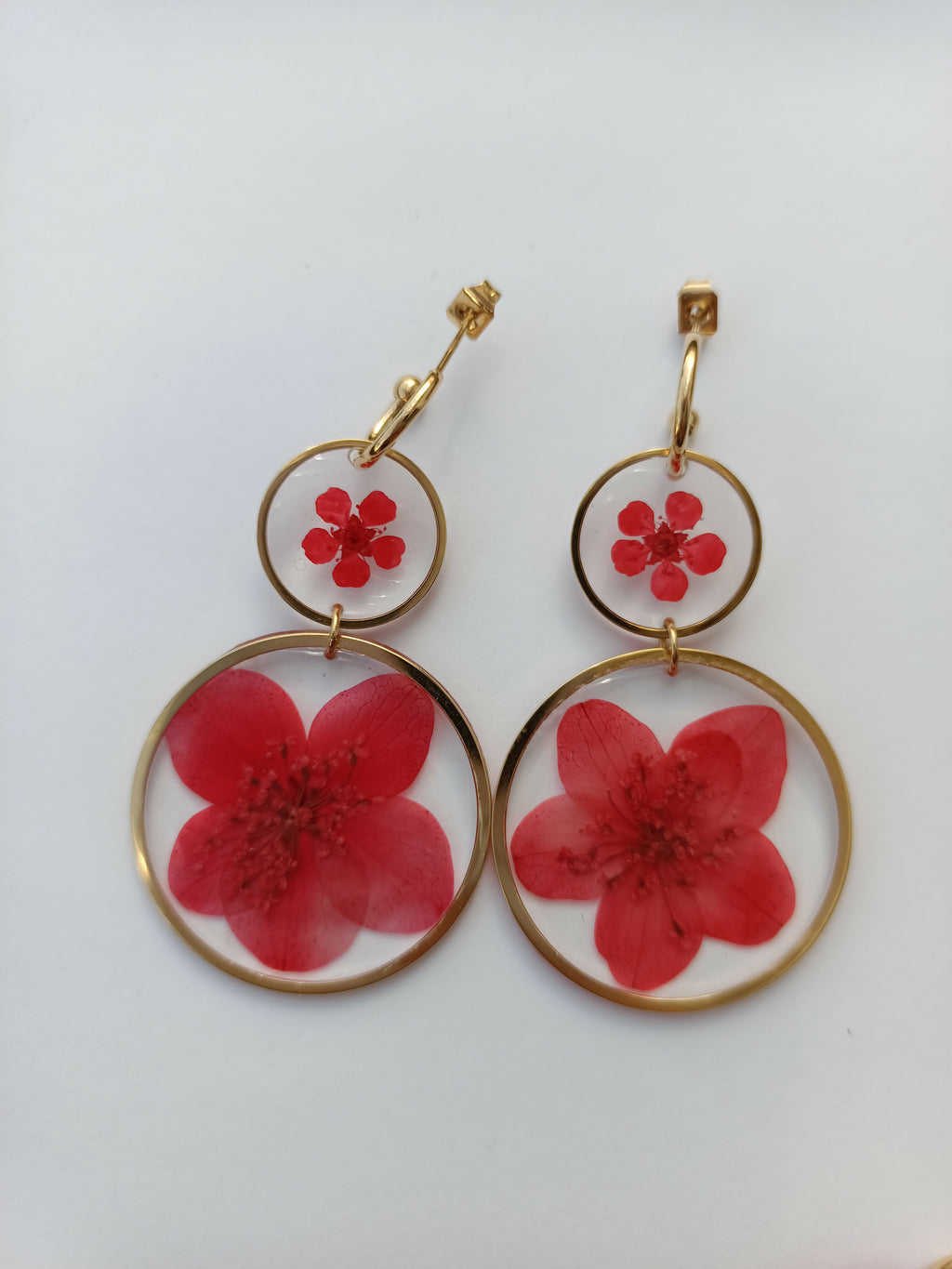 MEL/GFS Grandes Fleurs Séchées