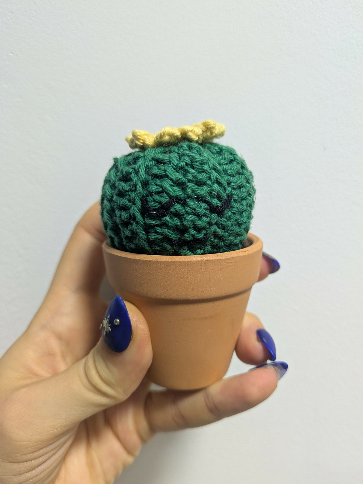 Pot Cactus