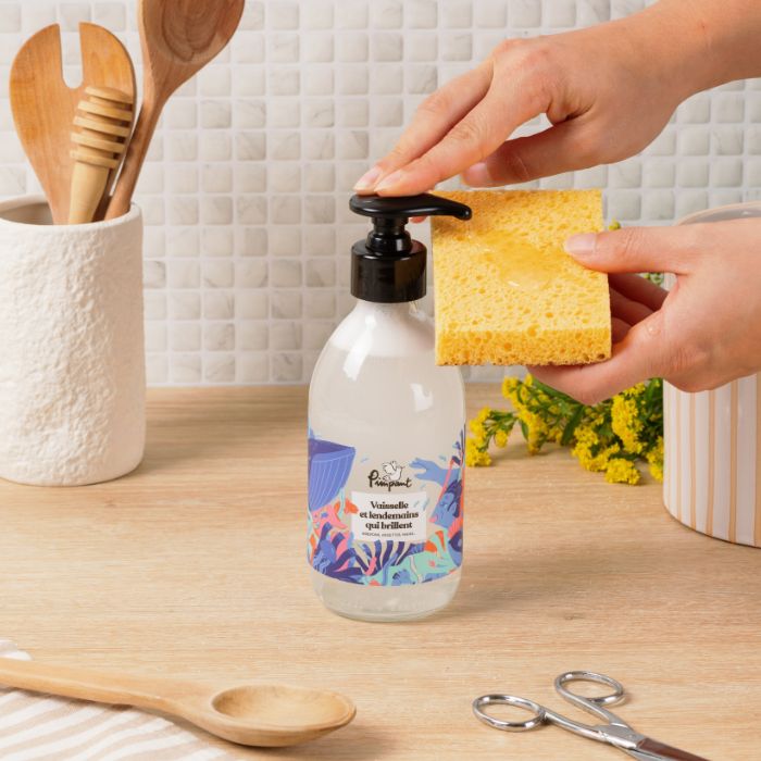 Dish Soap Kit (fragrance of your choice)